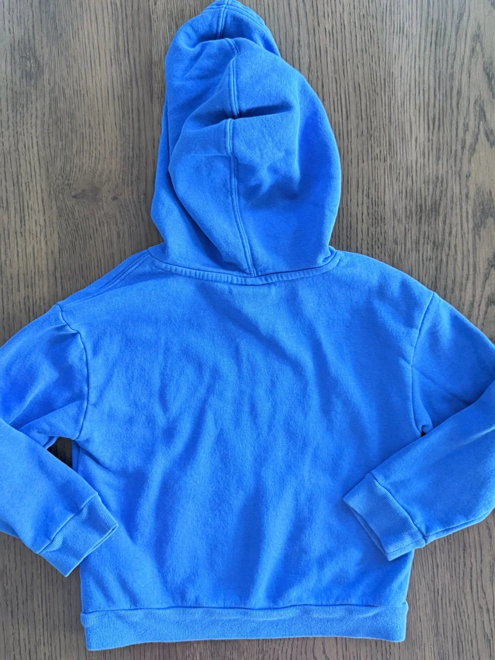 GAP 5T Blue Cookie Monster Hooded Sweatshirt